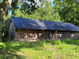 Gemeente Teylingen: Tjarda uitgestapt terwijl overleg nog gaande was