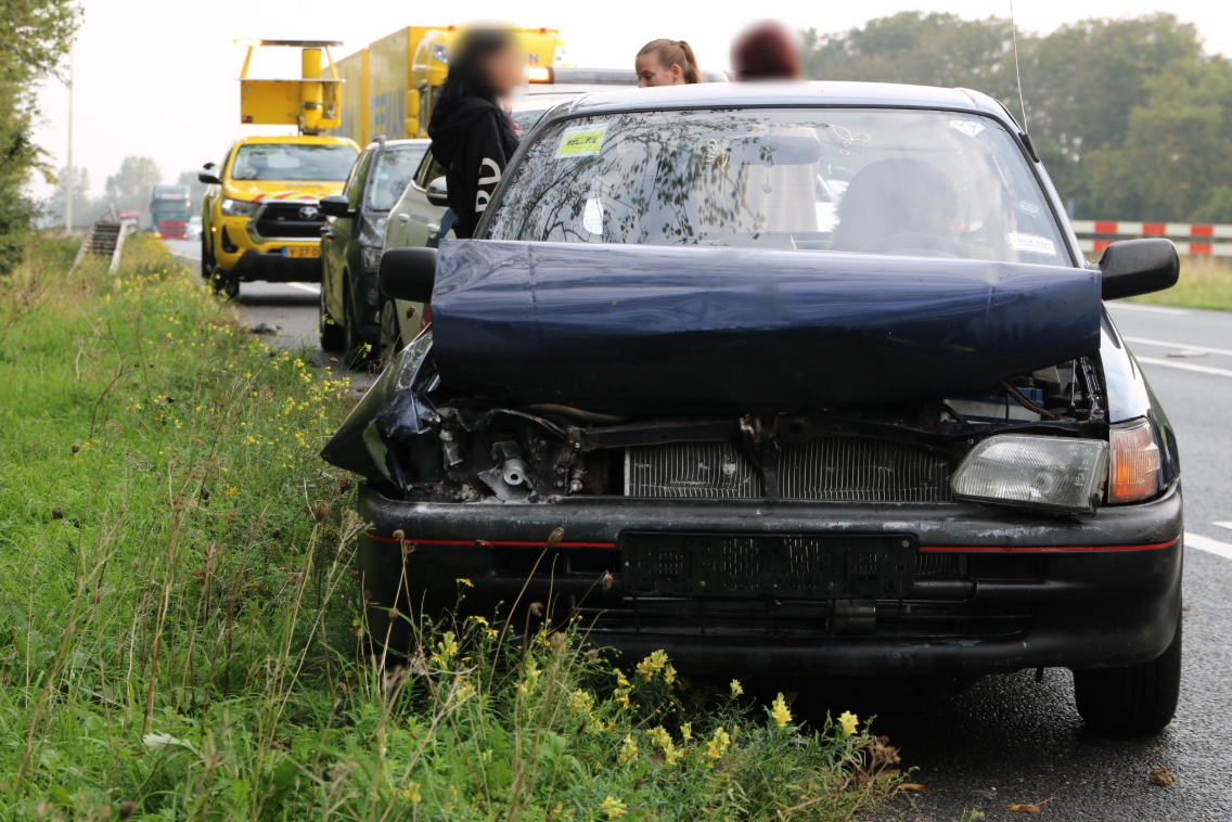 092926kopstaartbotsingn206
