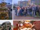 Weer gratis kerstbomenactie in gemeente Teylingen