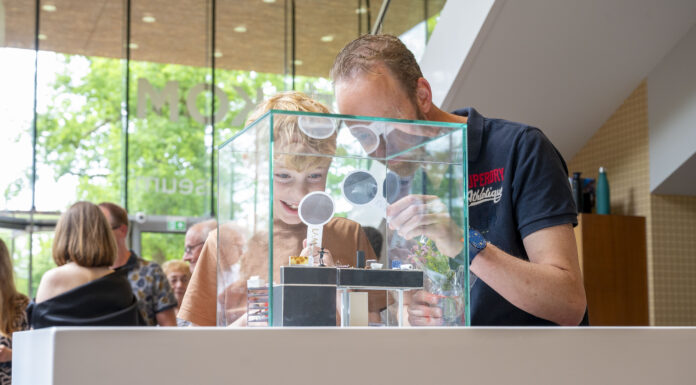 Miniatuurkunstwerken langer te zien in LAM museum