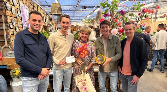 Eerste Dahlia Award voor Electric Flash van Hillegoms bedrijf