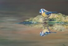 Expositie met dieren in Bibliotheek Hillegom