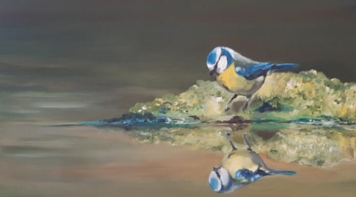 Expositie met dieren in Bibliotheek Hillegom