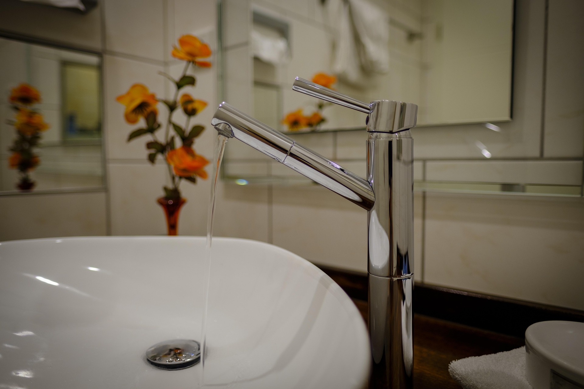bru-no-bath-3597350_1920