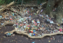 Kabouterbos Warmond weer vernield