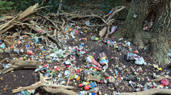 Kabouterbos Warmond weer vernield