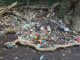 Kabouterbos Warmond weer vernield