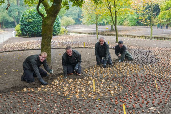 102126plantseizoenkeukenhof