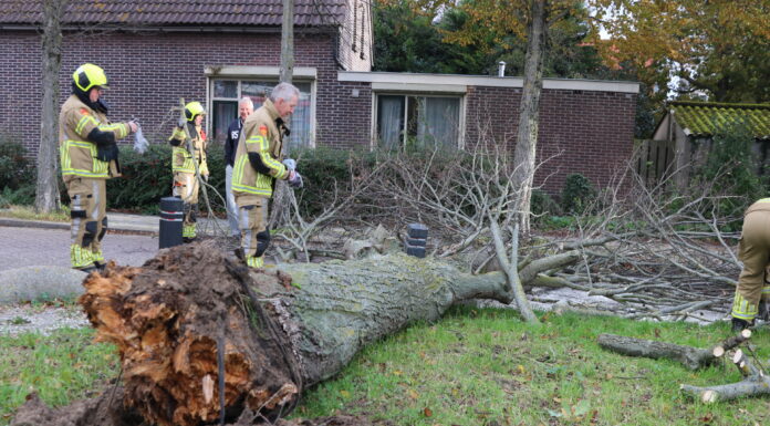 Omgewaaide boom blokkeert weg in Noordwijkerhout