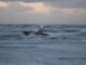 Grote zoekactie naar vermiste kitesurfer