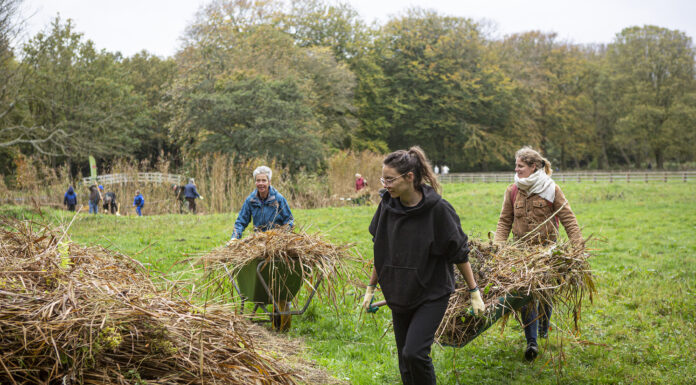 Nationale Natuurwerkdagen op landgoed Nieuw Leeuwenhorst